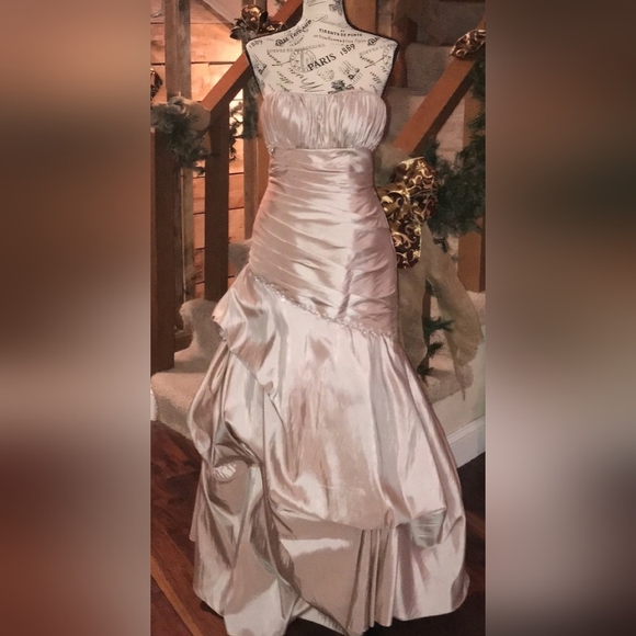 Tiffany Designs Champagne Asymmetrical Ruched Gown - Picture 8 of 13